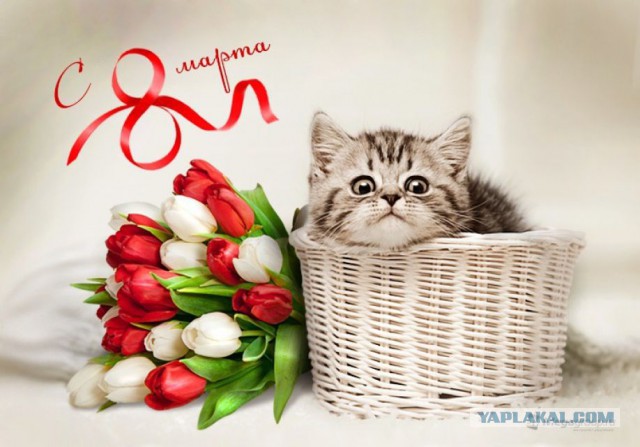 ЯПлакал woman style. 8 марта посвящается