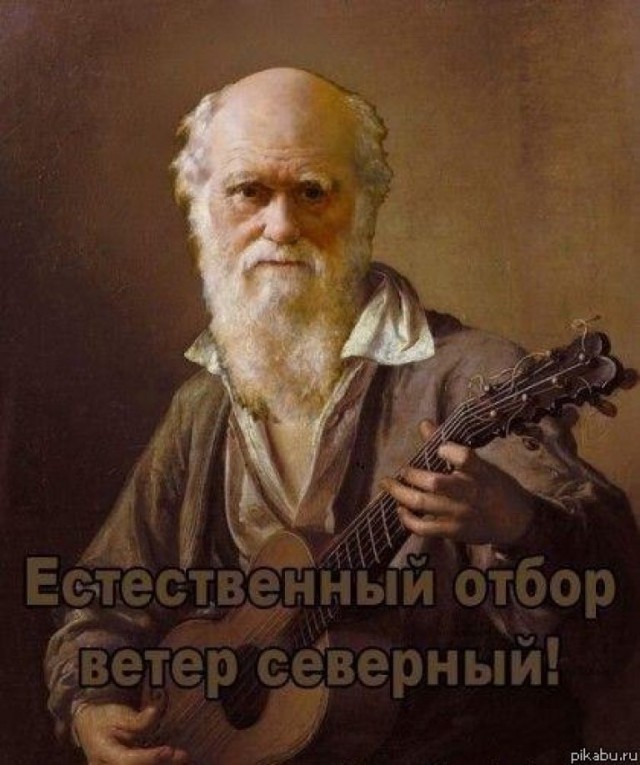 Итоги проверки пользователей
