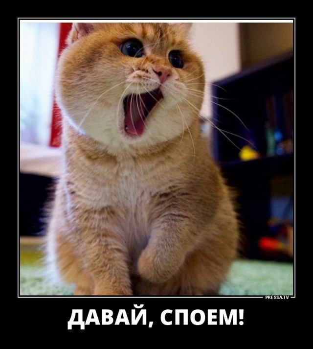 Итоги проверки пользователей