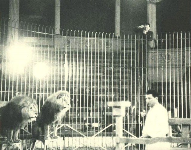 Накануне войны: 1940 год