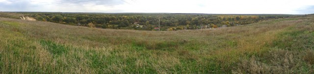 Летом в деревне
