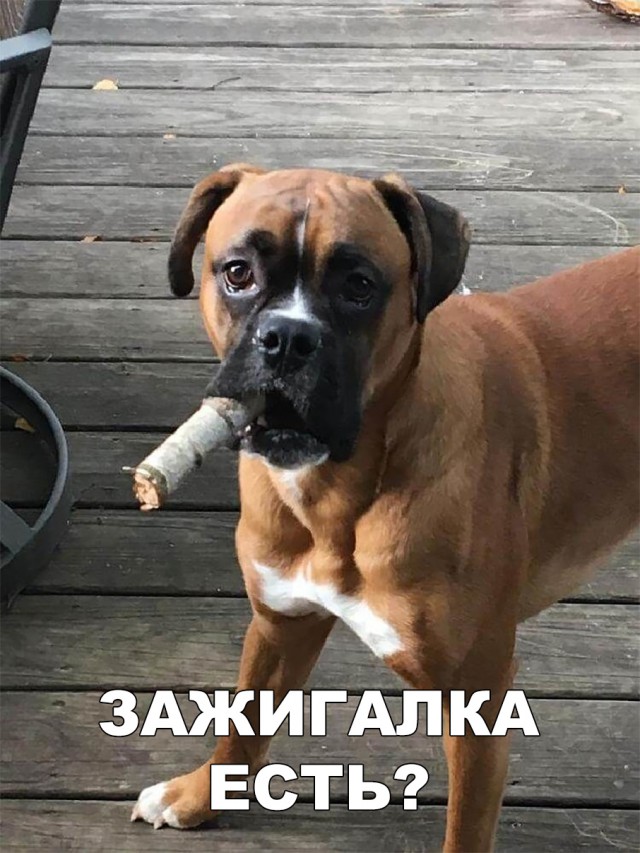Нестандартный юмор