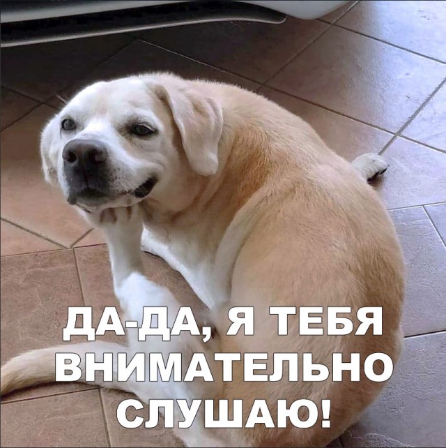 Живность из сети