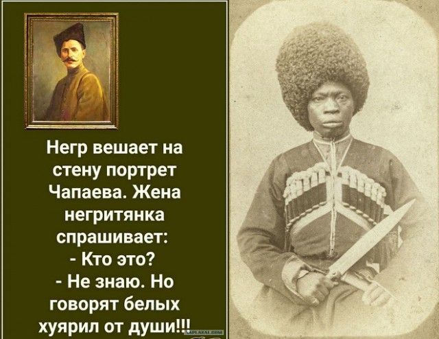 Подборка весёлых картинок