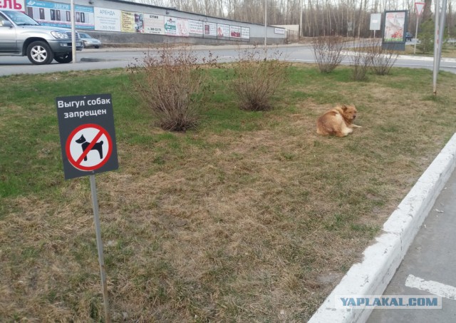 Протест!
