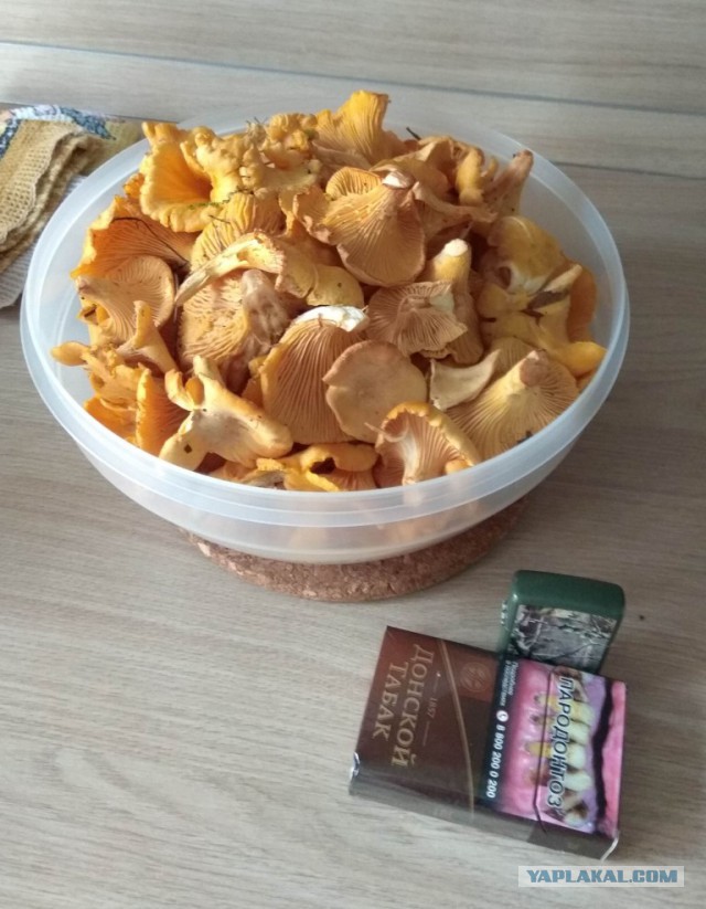 Аццкая кухня 3  (Кулинарный адъ)