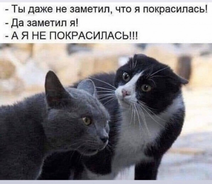 Нифинасебе! И другие выражения лиц