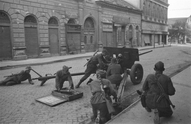 Взятие Будапешта 13 февраля 1945 года.