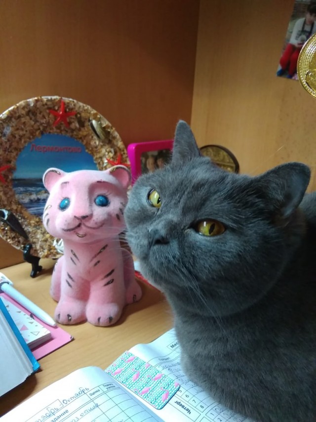 Зверушки