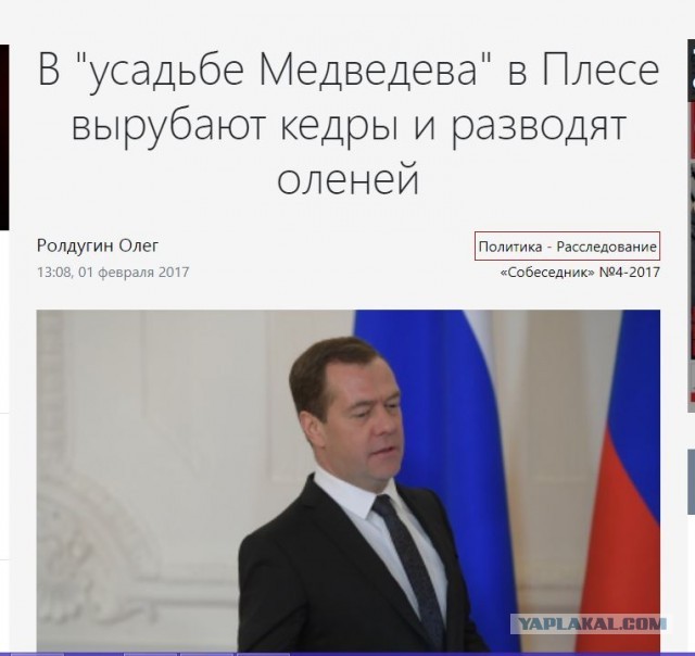 Посадили 3000 кедров в Нижнем Новгороде