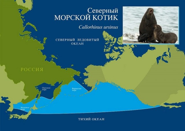 Зацеперы
