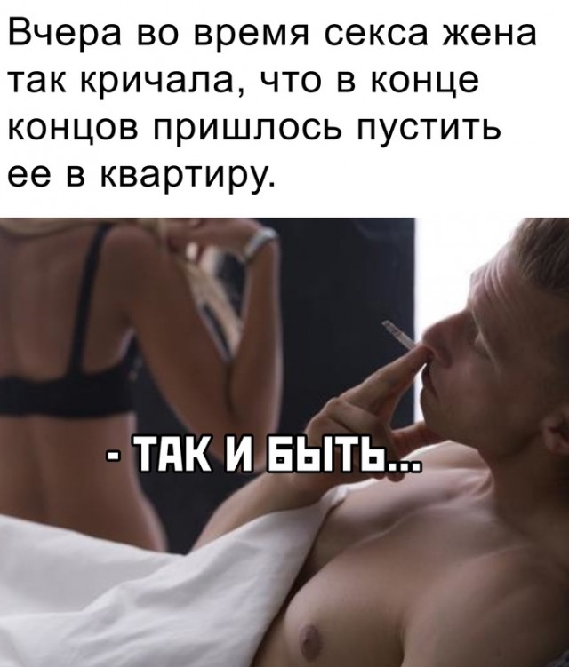 Весёлый полтишок 23.03