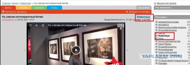 Ну совсем нетолерантный Китай