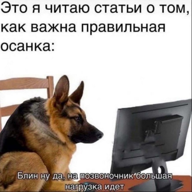 Картинки и мемы для настроения