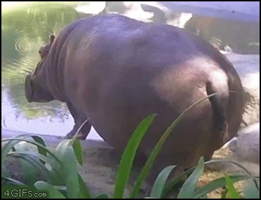 Ничего себе скорость