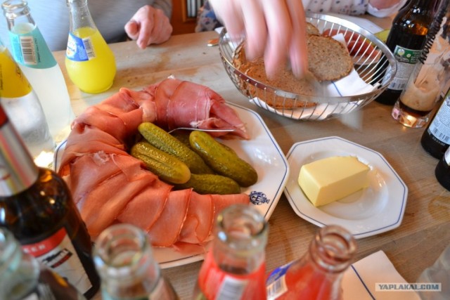 Пятничные посиделки на теплотрассе ©