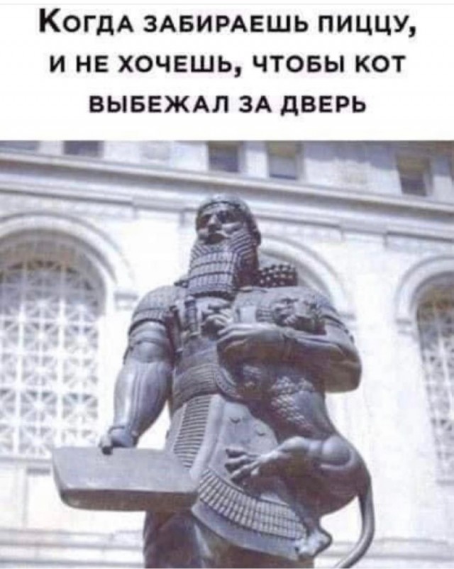 "Купил коту игрушку" и другие картинки