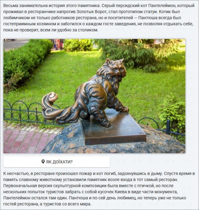Умер самый известный амурский пёс - Дружок.
