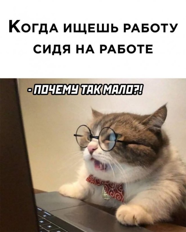 Картинки и мемы для настроения  - 31