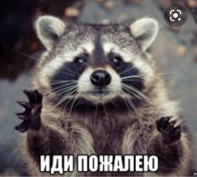 Меня бросил муж