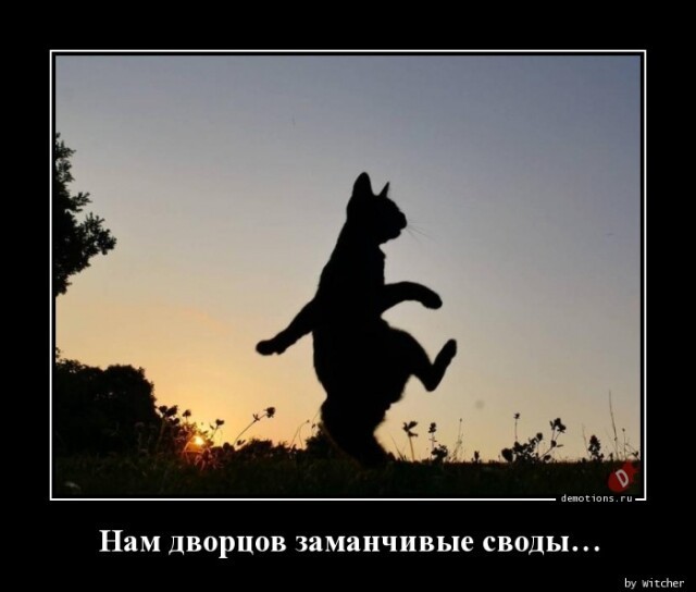 Картинки с надписями 21.08.22