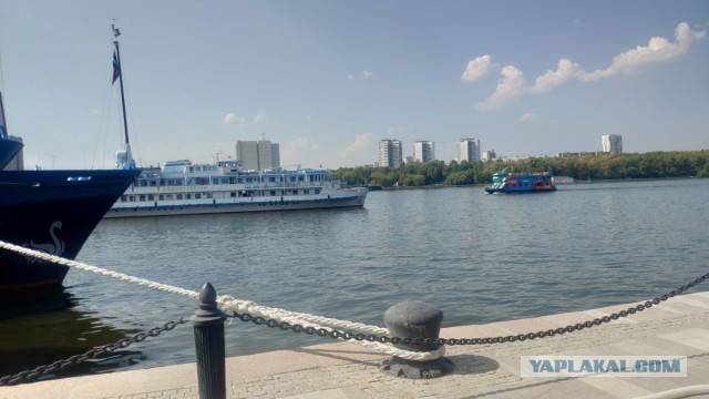 Какое последнее фото у вас в телефоне?