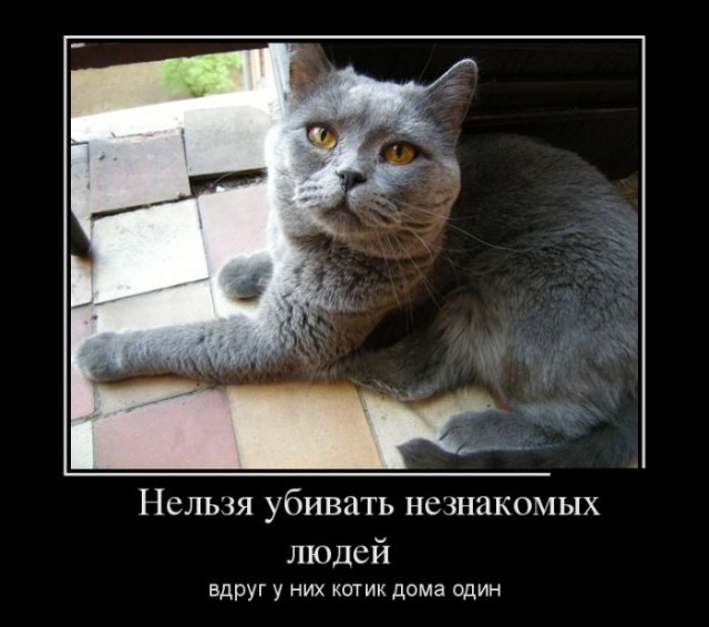 Картинки и мемы. Выходные близко...