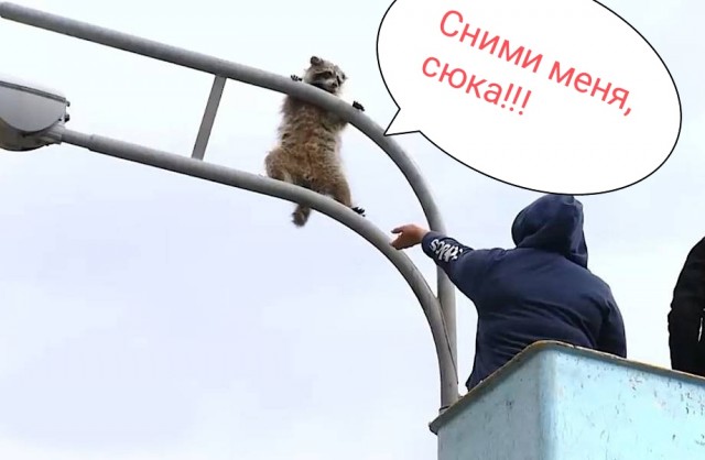 Фотожаба "Сними меня фотограф"