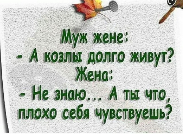 Победная поступь идиотизма по планете – том 12