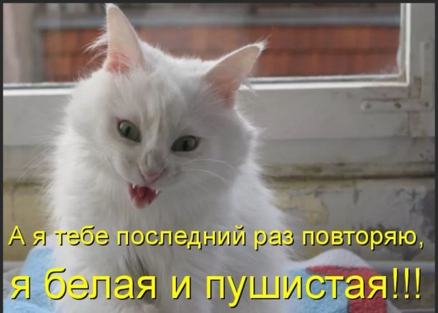 Победная поступь идиотизма по планете – том 13
