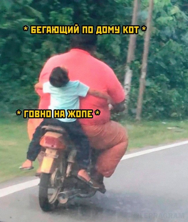 Весёлый полтишок 11.08.23