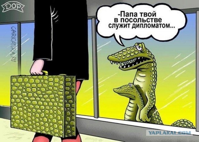 "Дальнобойщики — они до бабы голодные всегда". Исповедь проститутки