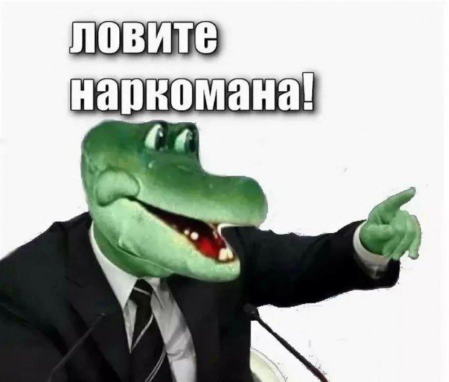 Депутат Енгалычева раскрыла правду про северное сияние