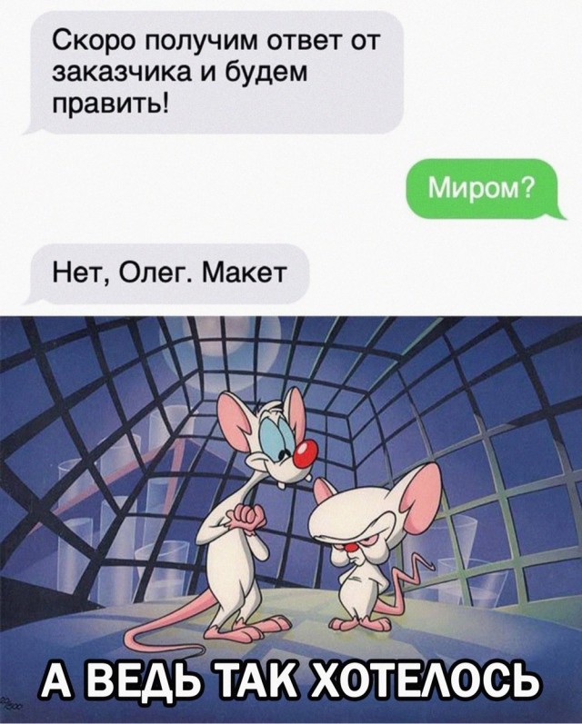 Весёлый полтишок 02.04.24