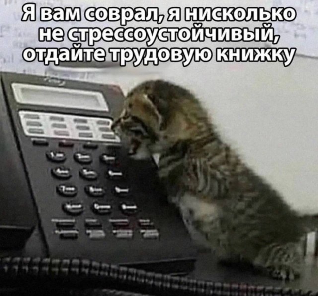 Всего понемногу. От 17.04.24.
