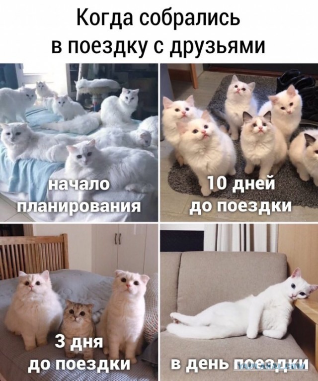 Байаны