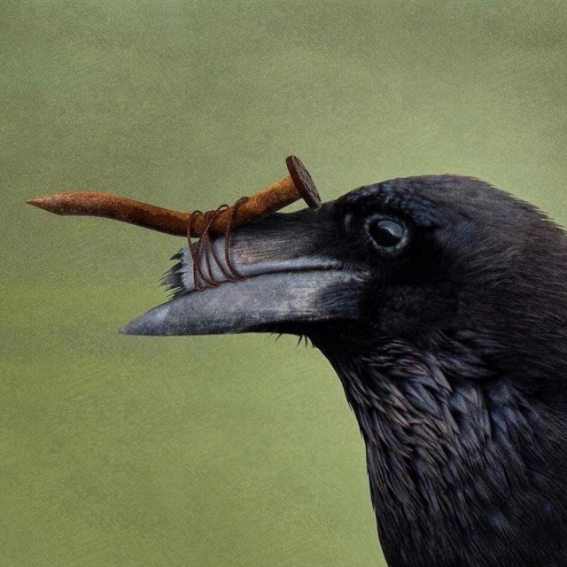 Прикольные и просто красивые картинки 21.06.2024