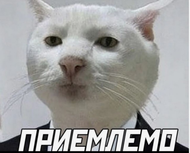 Челябинец сжег машину соседа из-за громкой музыки