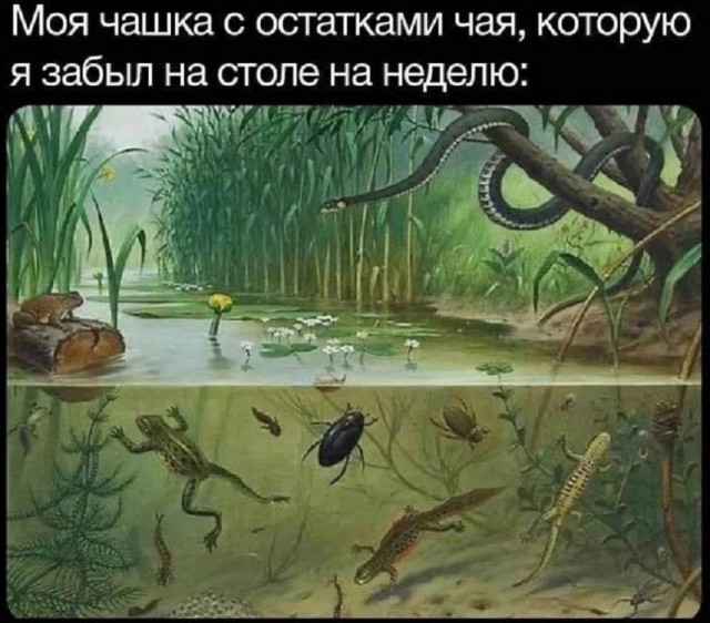 Картинки разные с надписями и без