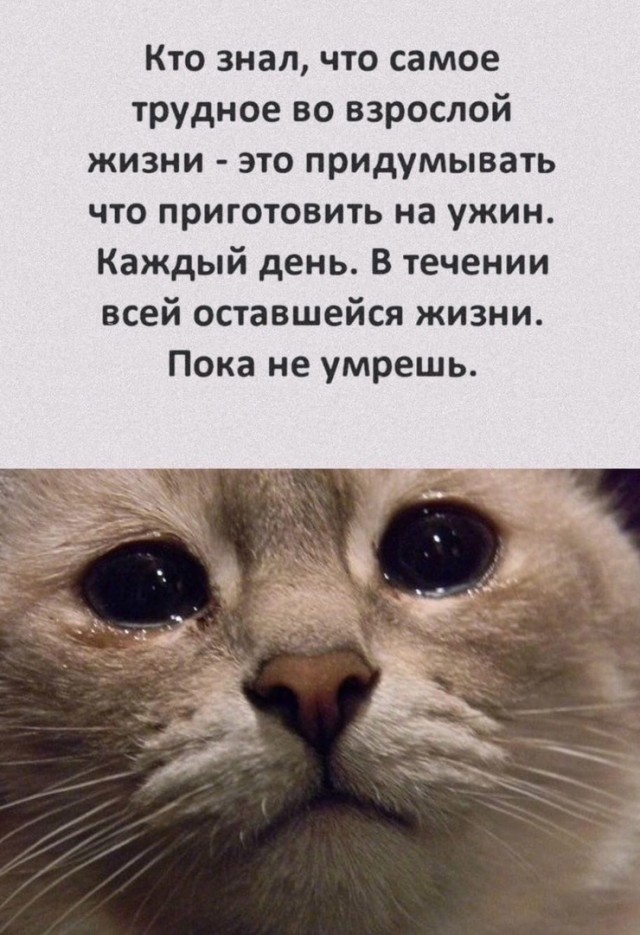 Так себе картинки 09.11.24