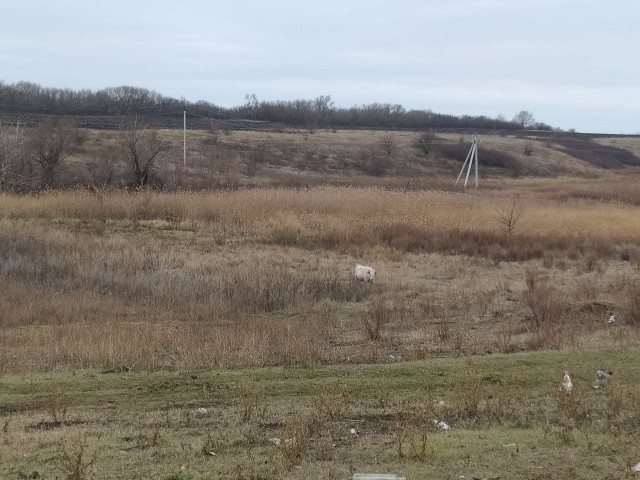 Веселая ферма: немного осенних фоточек!