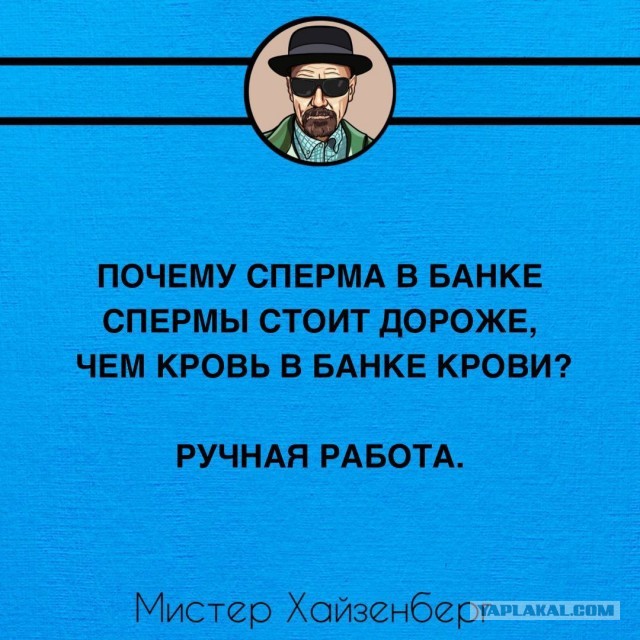 Нуштош 13.12.2024