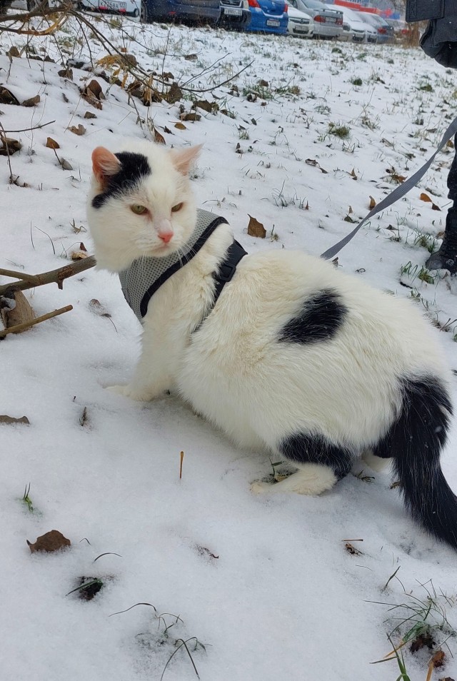 Нам 18,5 и Мы балдеем от жизни такой! Один минус, орем постоянно!