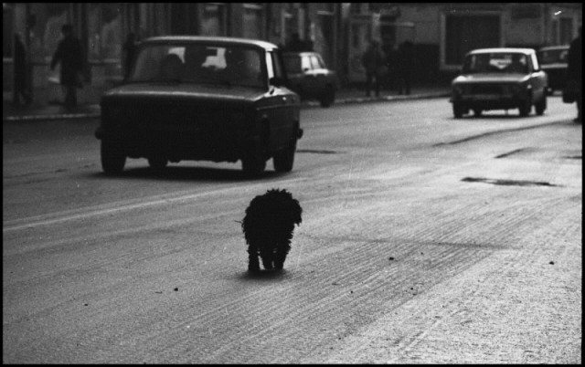 Фотографии из прошлого нашей страны – 89