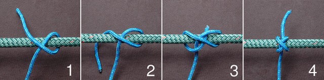 Спасение кота от удава