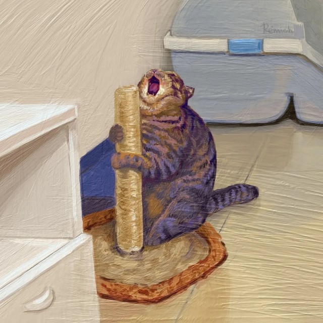 К котовторнику: подборка картинок-баянов с котиками и про котиков. Выпуск 3.