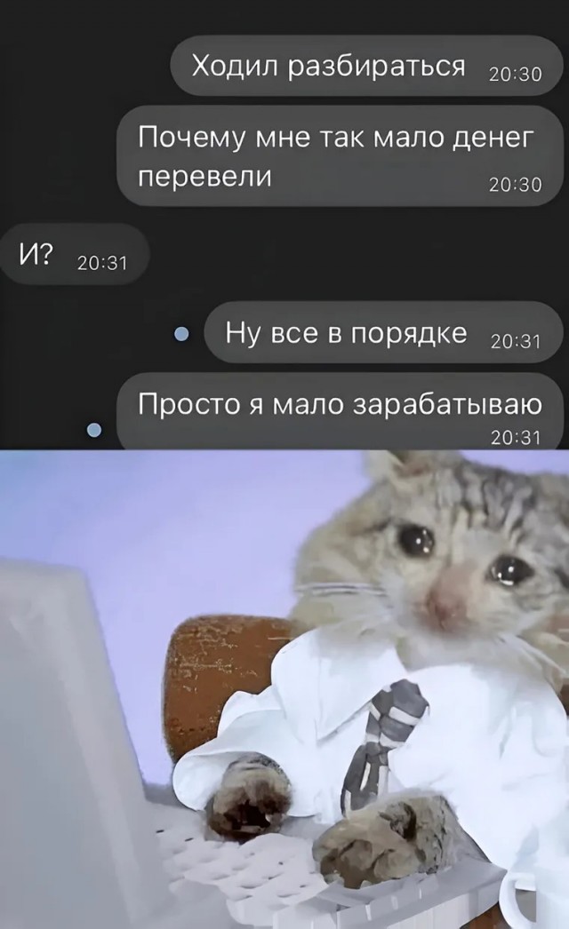 25 грустных, но жизненных мемов про зарплату