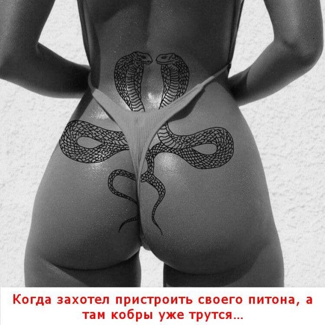 Забавные и не очень скромные картинки - 3