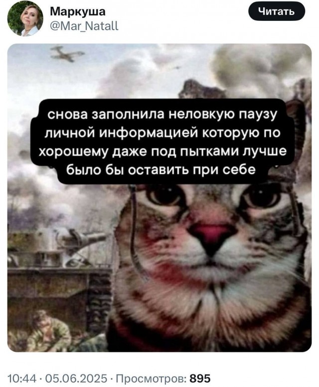 Девушка попросила в Хвиттере остальных скинуть любимые мемы с котами