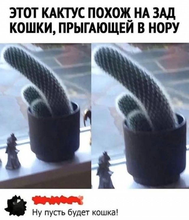 Маленькая пятница 11.06